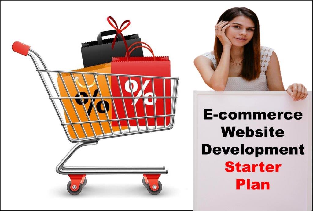 ecommerce website development agency in Raleigh North Carolina