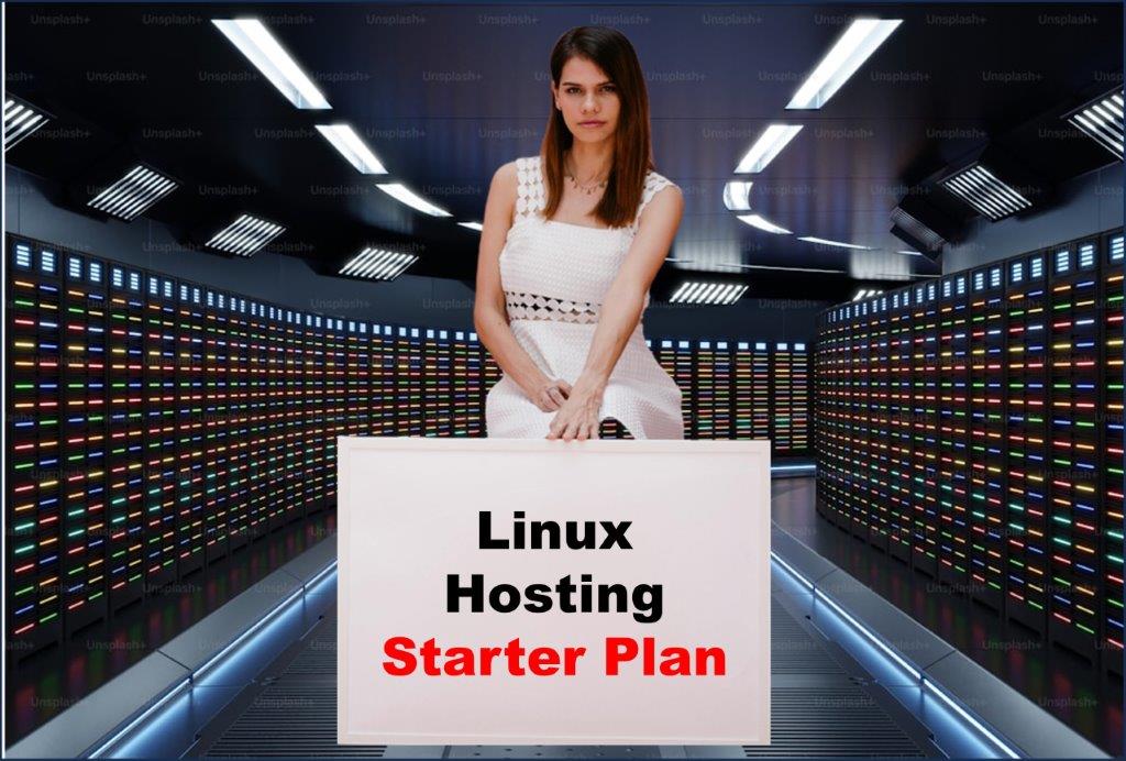 linux hosting windows hosting provider in Raleigh North Carolina