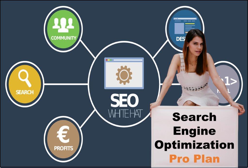 seo company Raleigh North Carolina
