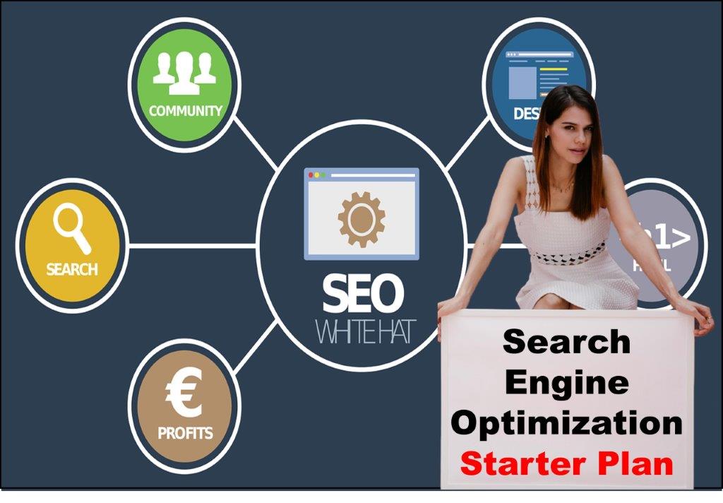seo service provider in Raleigh North Carolina