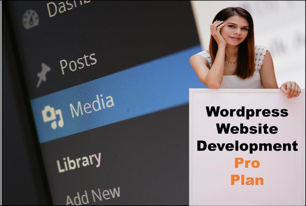 wordpress website designing in Raleigh North Carolina