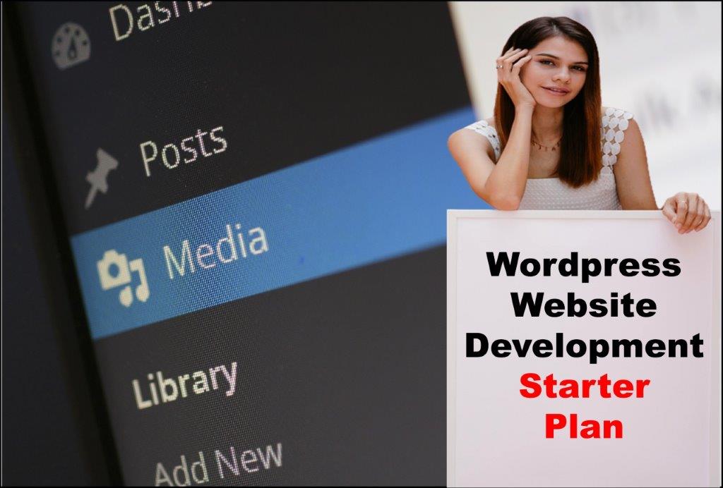 wordpress website development agency in Raleigh North Carolina